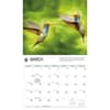 image WWF Hummingbirds 2027 Wall Calendar Second Alternate Image
