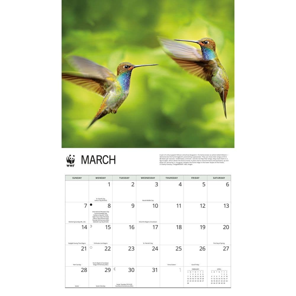 WWF Hummingbirds 2027 Wall Calendar Second Alternate Image