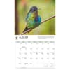 image WWF Hummingbirds 2027 Wall Calendar Third Alternate Image