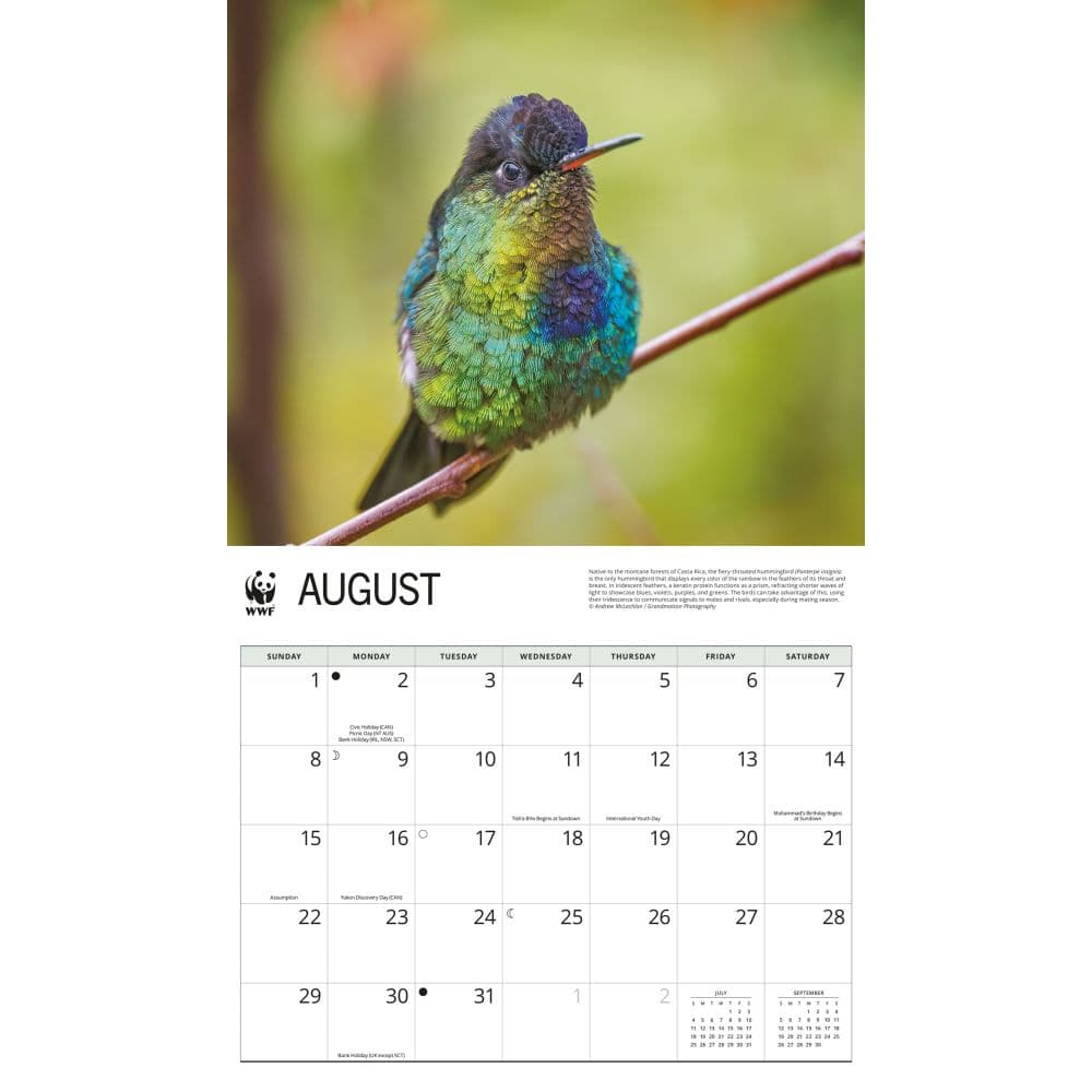 WWF Hummingbirds 2027 Wall Calendar Third Alternate Image