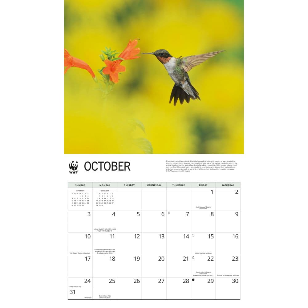 WWF Hummingbirds 2027 Wall Calendar Fourth Alternate Image