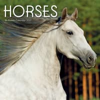 image Horses 2027 Wall Calendar Main Product Image