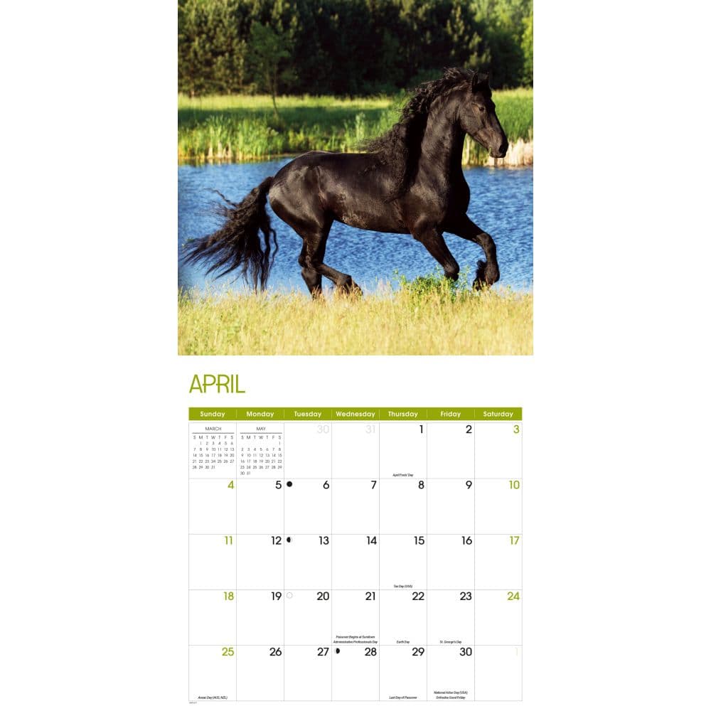 Horses 2027 Wall Calendar Second Alternate Image
