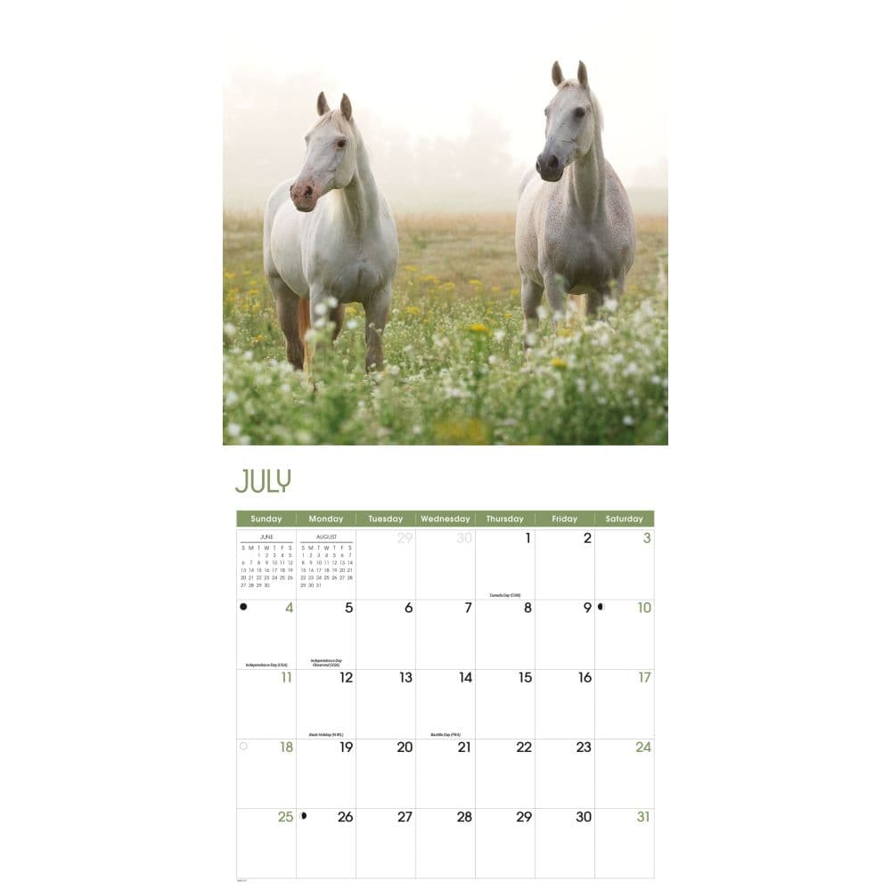 Horses 2027 Wall Calendar Third Alternate Image