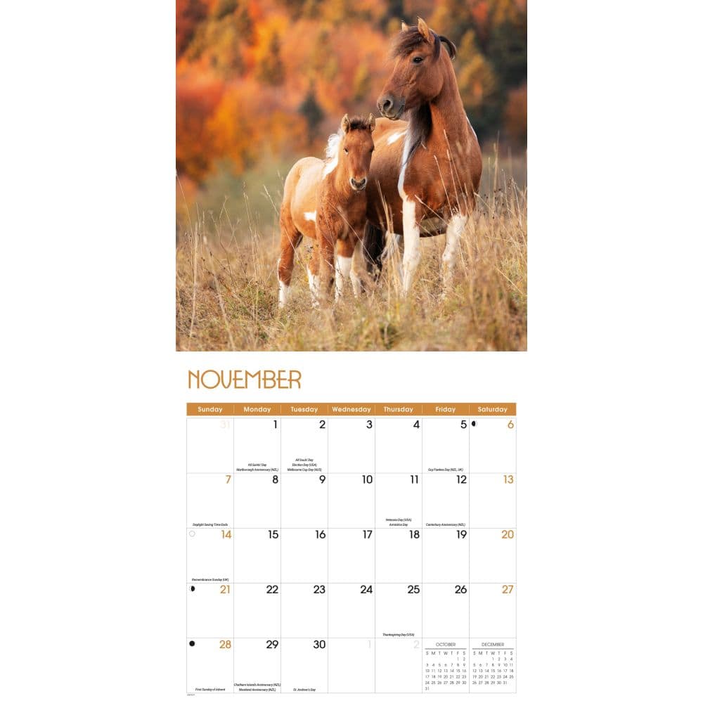 Horses 2027 Wall Calendar Fourth Alternate Image