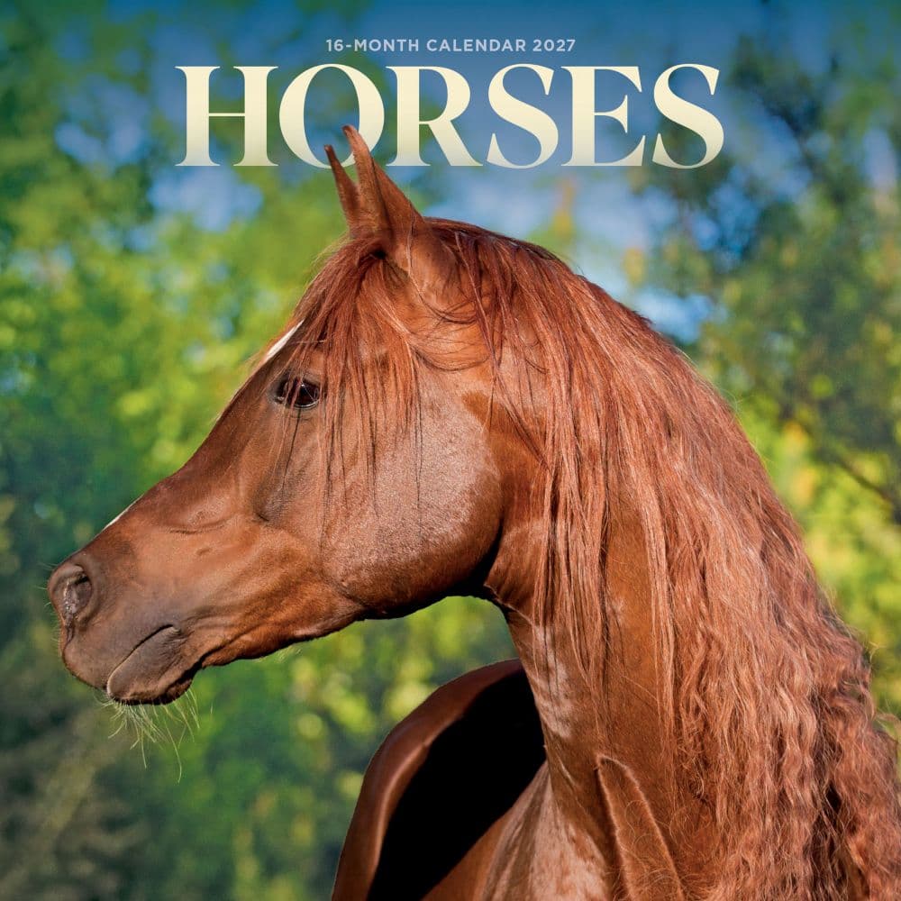 Horses 2027 Mini Wall Calendar Main Product Image