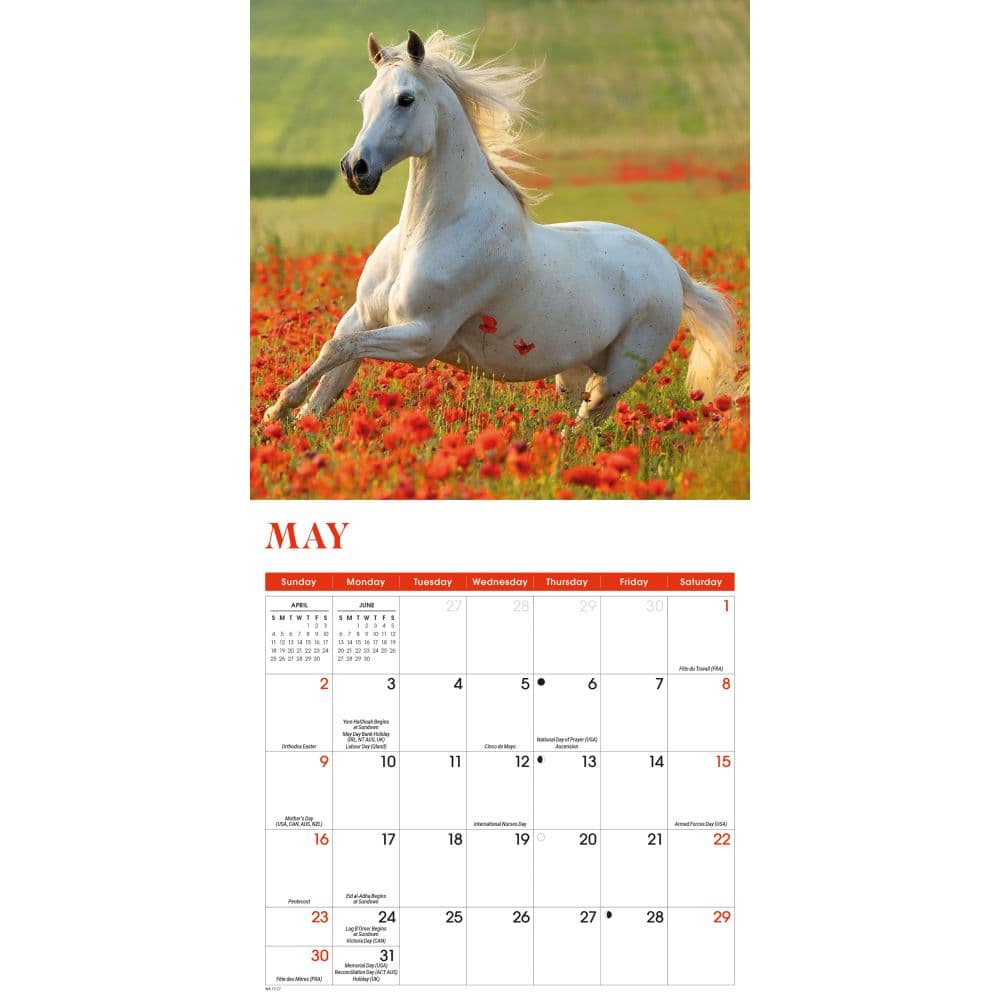 Horses 2027 Mini Wall Calendar Second Alternate Image