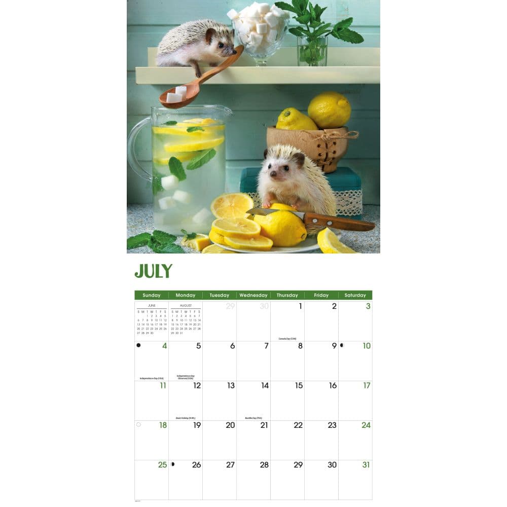 Hedgehogs 2027 Wall Calendar Third Alternate Image