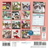 image Grumpy Cat 2027 Mini Wall Calendar First Alternate Image