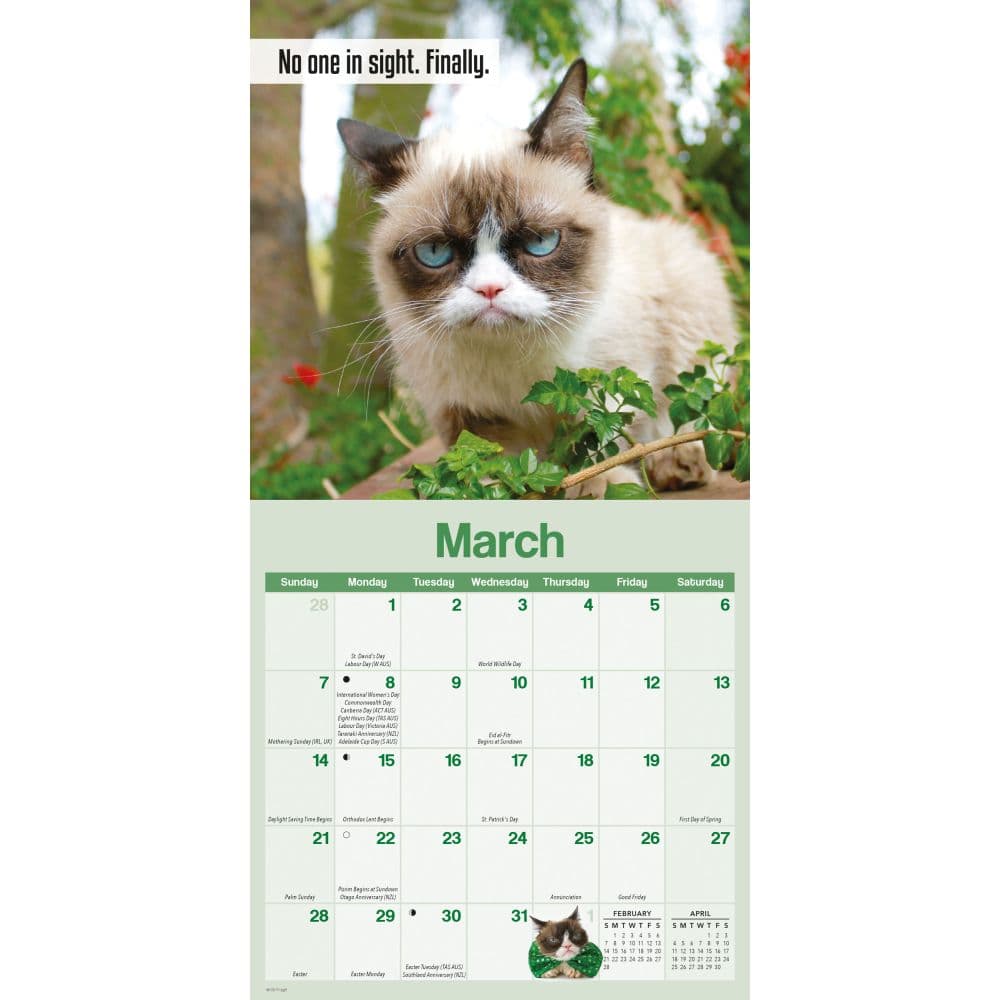 Grumpy Cat 2027 Mini Wall Calendar Second Alternate Image