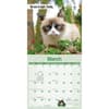 image Grumpy Cat 2027 Mini Wall Calendar Second Alternate Image