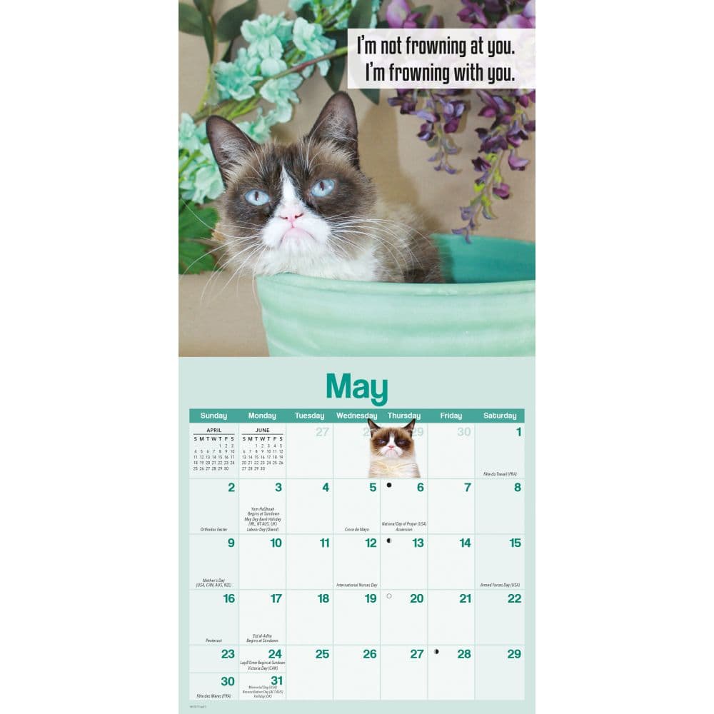 Grumpy Cat 2027 Mini Wall Calendar Third Alternate Image