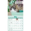 image Grumpy Cat 2027 Mini Wall Calendar Third Alternate Image
