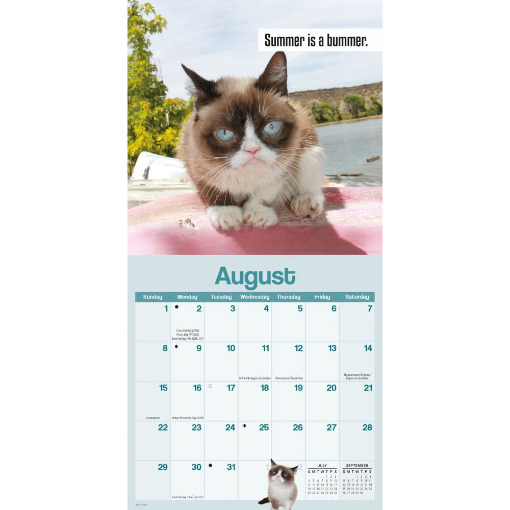 Grumpy Cat 2027 Mini Wall Calendar Fourth Alternate Image
