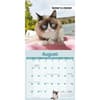 image Grumpy Cat 2027 Mini Wall Calendar Fourth Alternate Image