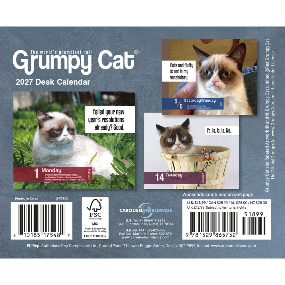Grumpy Cat 2027 Desk Calendar First Alternate Image