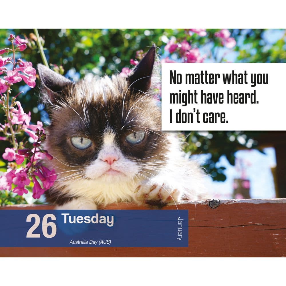 Grumpy Cat 2027 Desk Calendar Second Alternate Image