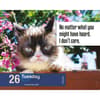 image Grumpy Cat 2027 Desk Calendar Second Alternate Image