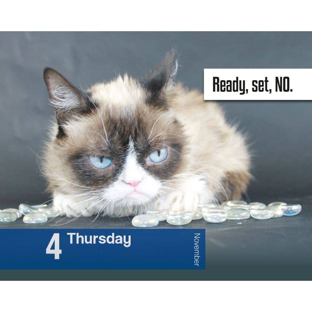 Grumpy Cat 2027 Desk Calendar Fourth Alternate Image