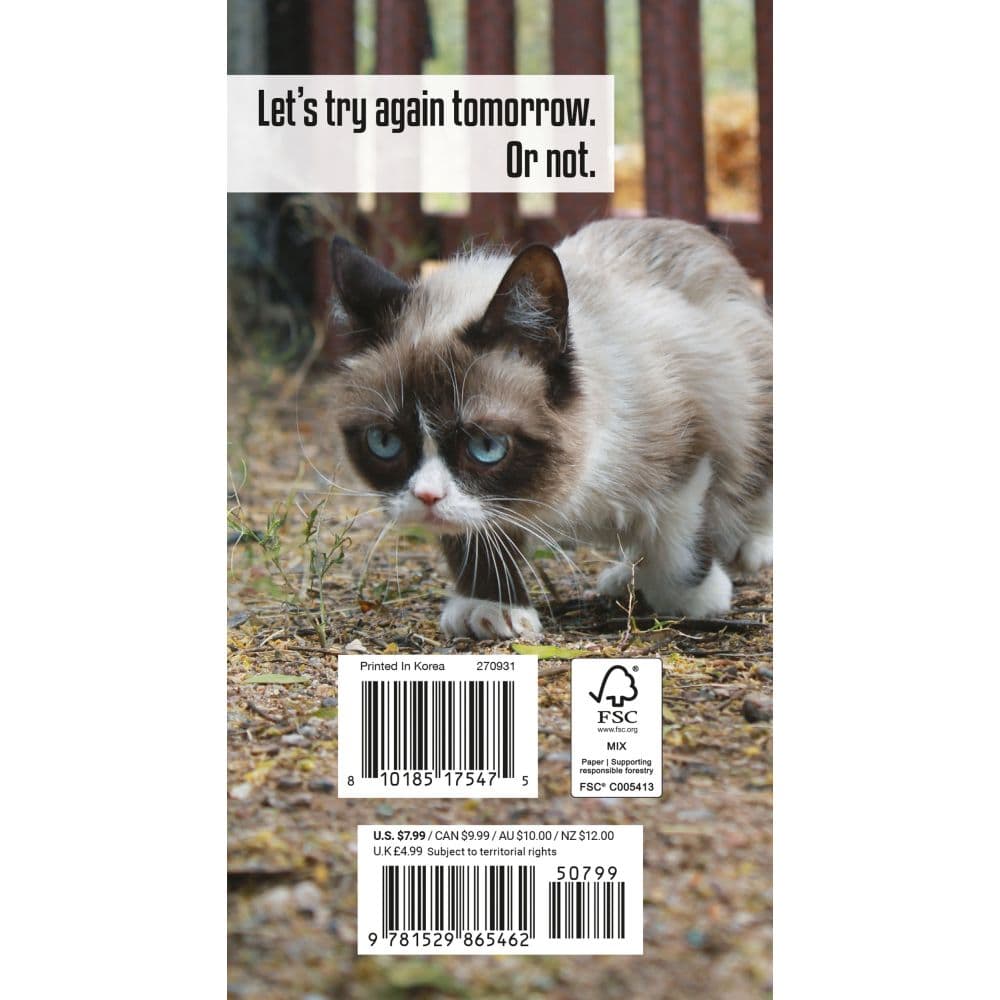 Grumpy Cat 2027 2 Year Pocket Planner First Alternate Image