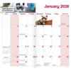 image Grumpy Cat 2027 2 Year Pocket Planner Third Alternate Image