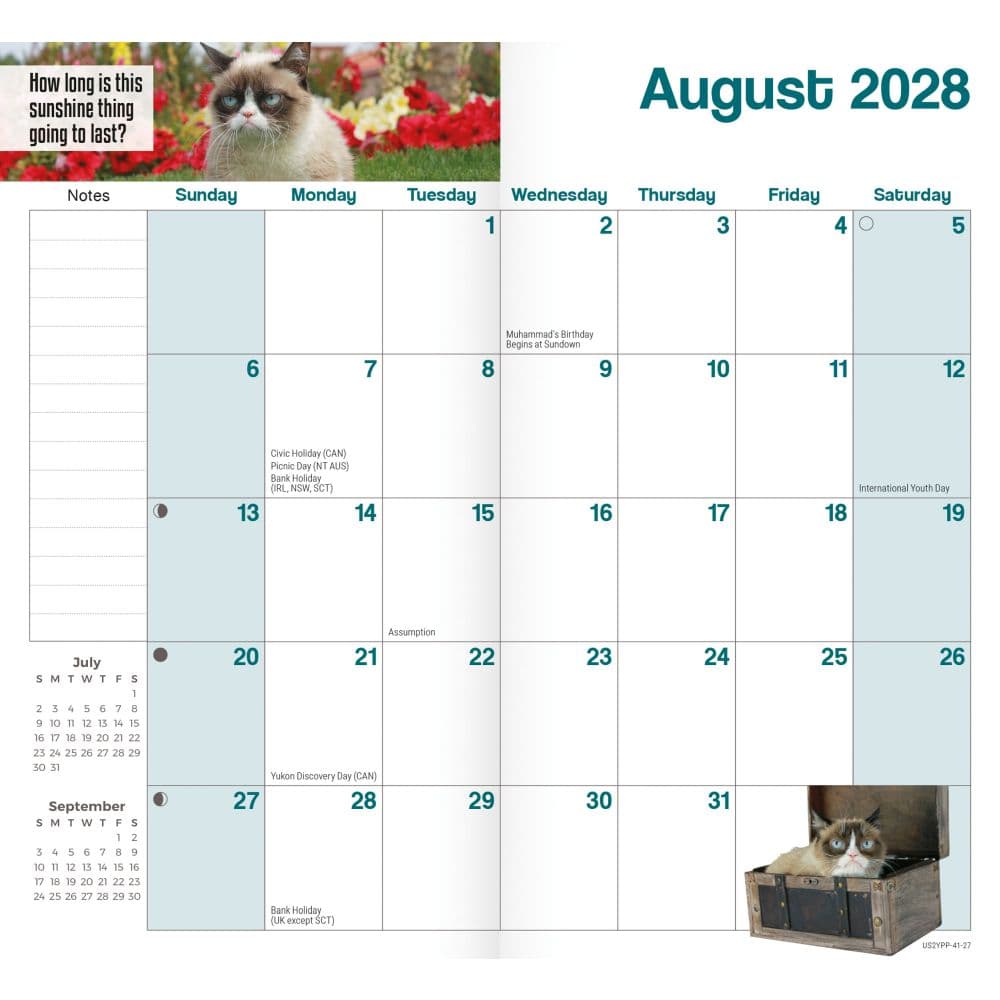 Grumpy Cat 2027 2 Year Pocket Planner Fourth Alternate Image
