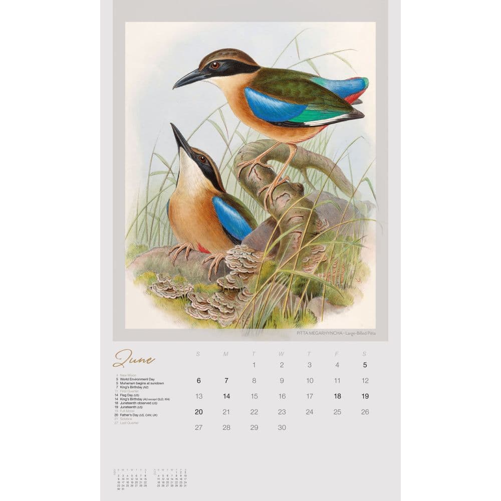 Exotic Birds 2027 Vertical Wall Calendar Third Alternate Image