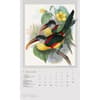 image Exotic Birds 2027 Vertical Wall Calendar Fourth Alternate Image