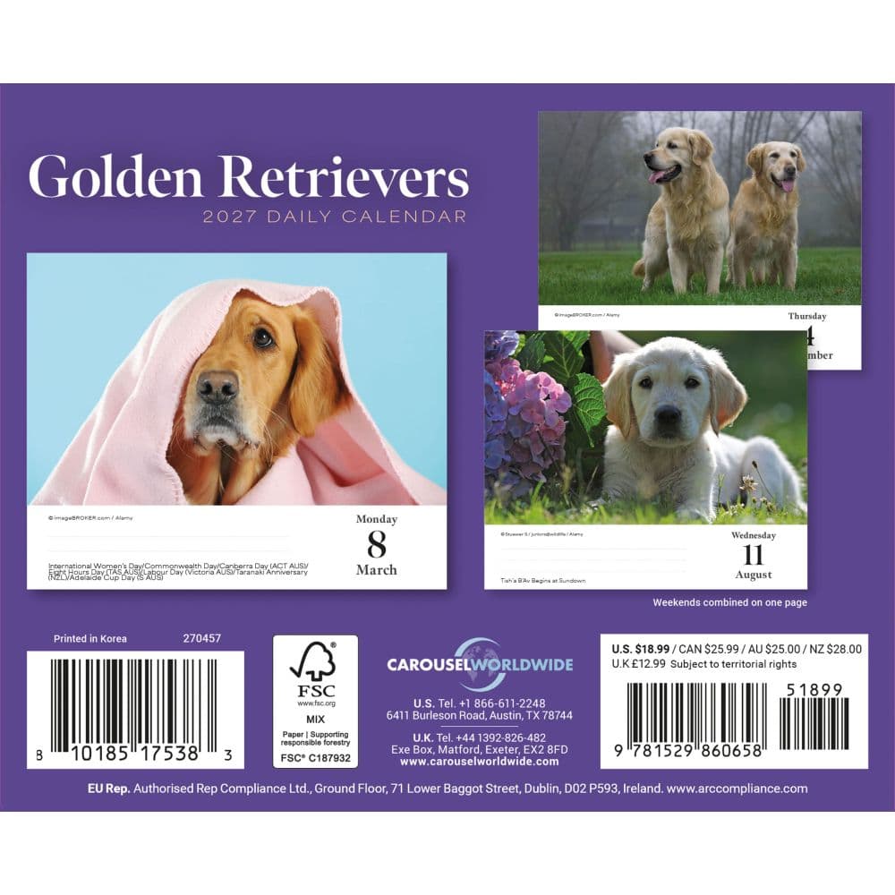 Goldens Retrievers 2027 Desk Calendar First Alternate Image