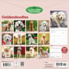 image Goldendoodles 2027 Wall Calendar First Alternate Image