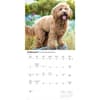 image Goldendoodles 2027 Wall Calendar Second Alternate Image