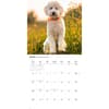 image Goldendoodles 2027 Wall Calendar Third Alternate Image
