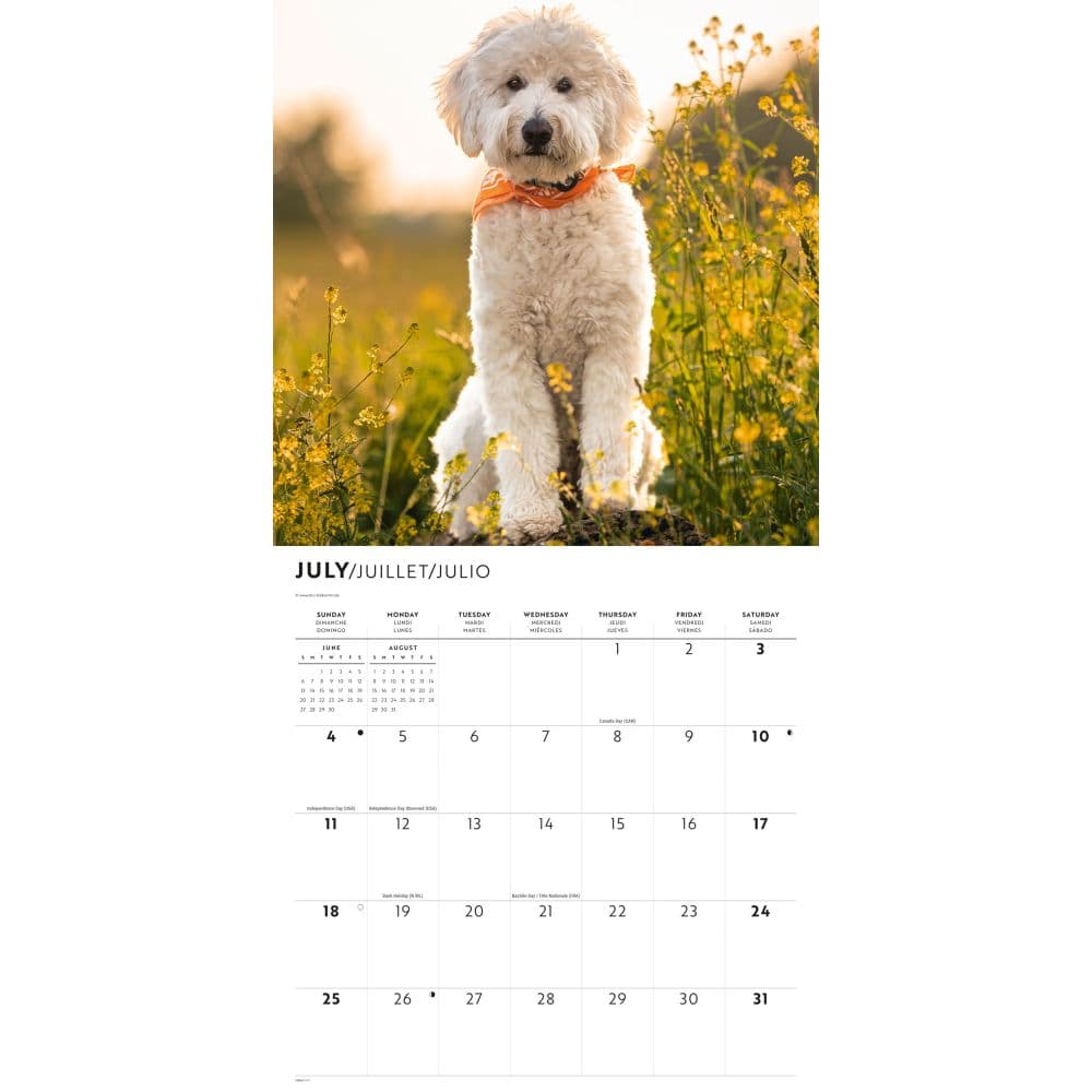 Goldendoodles 2027 Wall Calendar Third Alternate Image