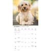 image Goldendoodles 2027 Wall Calendar Fourth Alternate Image