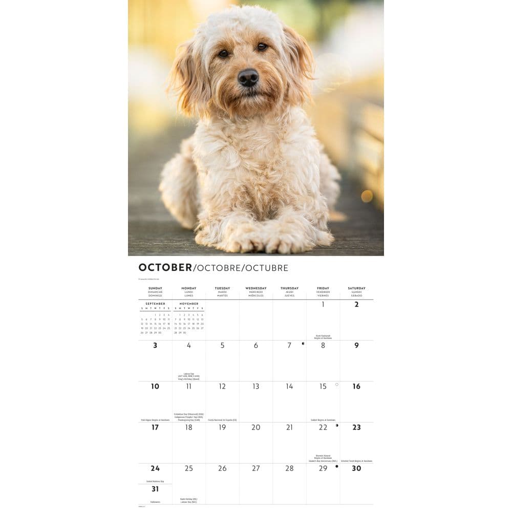 Goldendoodles 2027 Wall Calendar Fourth Alternate Image