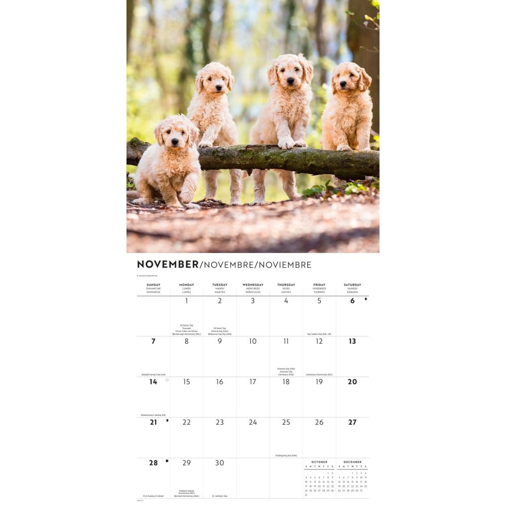 Goldendoodle Puppies 2027 Wall Calendar Fourth Alternate Image