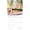 image Goldendoodle Puppies 2027 Wall Calendar Fourth Alternate Image