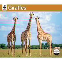 image WWF Giraffes 2027 Wall Calendar Main Product Image