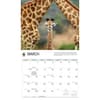 image WWF Giraffes 2027 Wall Calendar Second Alternate Image