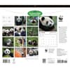 image WWF Giant Pandas 2027 Wall Calendar First Alternate Image