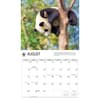 image WWF Giant Pandas 2027 Wall Calendar Third Alternate Image