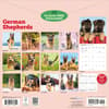 image German Shepherds 2027 Wall Calendar First Alternate Image