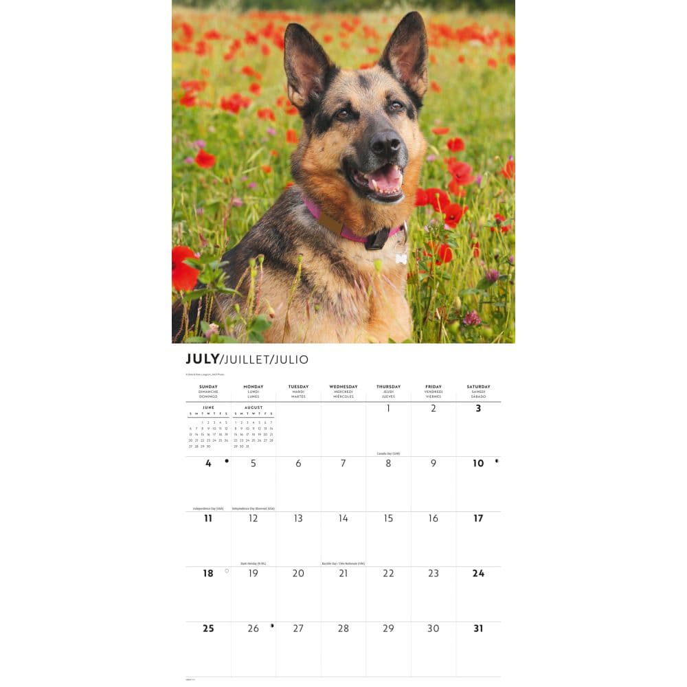 German Shepherds 2027 Wall Calendar - Calendars.com