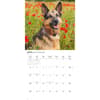 image German Shepherds 2027 Wall Calendar Third Alternate Image