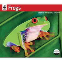 image WWF Frogs 2027 Wall Calendar Main Product Image