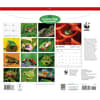 image WWF Frogs 2027 Wall Calendar First Alternate Image