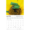 image WWF Frogs 2027 Wall Calendar Second Alternate Image