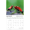 image WWF Frogs 2027 Wall Calendar Third Alternate Image