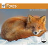 image WWF Foxes 2027 Wall Calendar Main Product Image