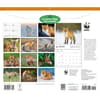 image WWF Foxes 2027 Wall Calendar First Alternate Image